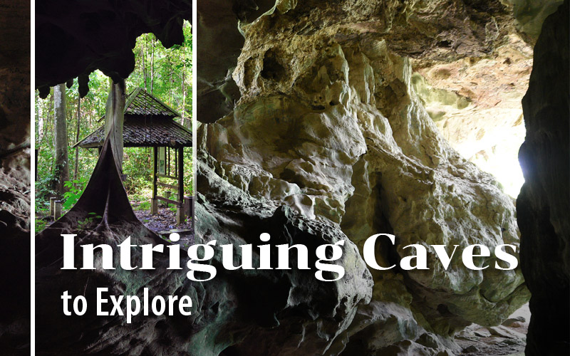 Intriguing Caves to Explore